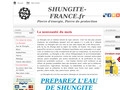 Boutique Shungite-france pierre d'énergie et de protection