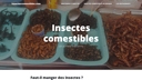Manger des insectes