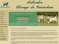 Elevage Labrador, chiot labrador Guisachan Angers