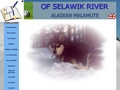 Elevage de Malamutes d'Alaska Of Selawik River