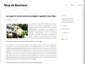 Blog de baumaux