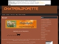 Chatperlipopette association protection animaux 07