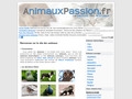 Blog sur les animaux