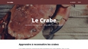 Le crabe