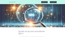 Consultante seo